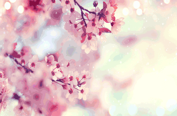 Abundancia y plenitud con Brigit